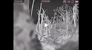 Украинский снайпер очищает землю от россиян