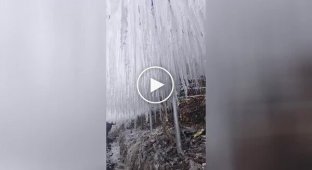 Walking under hundreds of icicles