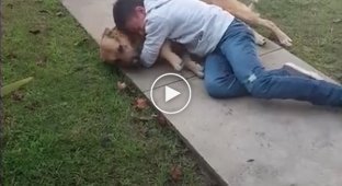 A boy meets a dog that has not been home for more than 8 months