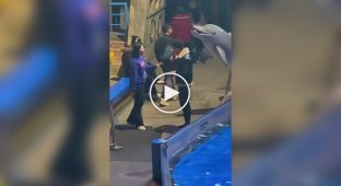 Белуха затушила сигарету курильщика в Китае