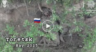 Воины Нацполиции за месяц ликвидировали 108 российских солдат на Торецком направлении