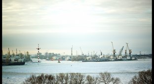 Петербург: Морской порт (12 фото)