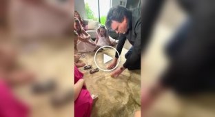 В США на девичниках стриптизеров все чаще заменяют фокусники