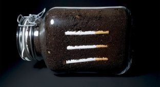 A photographer from the USA showed what happens to cigarettes in the soil (5 photos + 1 video)