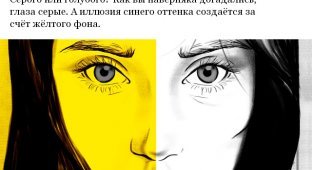 Оптические иллюзии с рациональным объяснением (13 фото + видео)