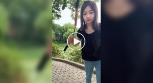 Learning to spin nunchucks like a kung fu master