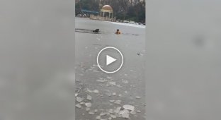 Мужчина спас мальчика из-под льда, но сам оказался в беде