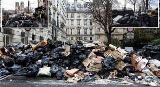 Париж потопає у смітті (5 фото + 2 відео)