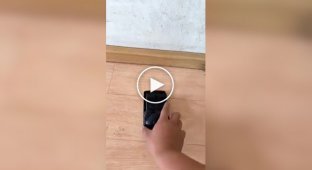 Weird Videos (Short Videos) Issue 30