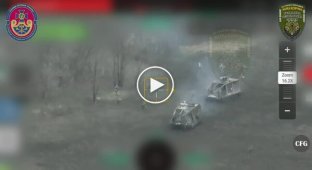 Дроны 110-й ОМБр уничтожили две БМП с российской пехотой на Новопавловском направлении