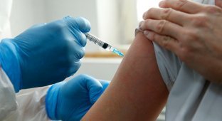 В Новой Зеландии предприимчивый мужчина сделал 10 прививок от коронавируса за день (1 фото)