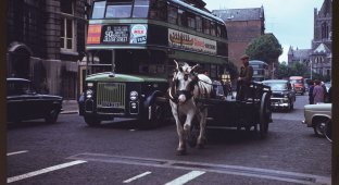 Дублин на цветных снимках 1961 года (15 фото)