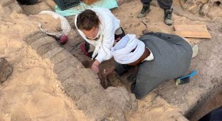 Jugs of wine more than 5 thousand years old were discovered in Egypt (2 photos)