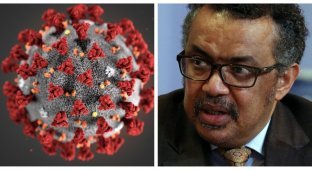 Глава ВОЗ официально объявил об окончании пандемии коронавируса (4 фото)