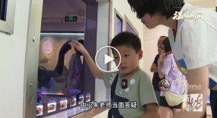A boy who loves fish wrote to an ocean park about the disappearance of some sea creatures and received a letter in response