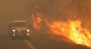 В Калифорнии объявлено чрезвычайное положение из-за лесных пожаров (8 фото)