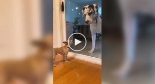 Когда ты смелый только за стеклом