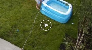 Funny attempts of women to drain water from the pool