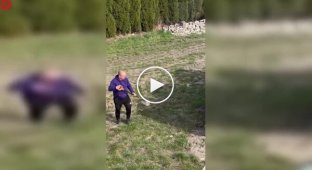 Дартс по-взрослому