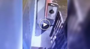 Robber fled the scene of the crime on a donkey.