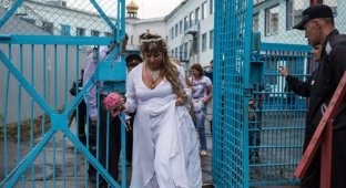 Свадьба в СИЗО: в следственном изоляторе состоялась свадебная церемония (2 фото)