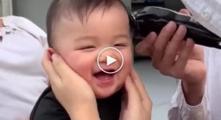 Adorable little boy can't stop giggling while getting his hair cut