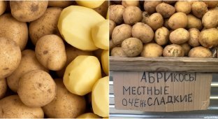 Scientists propose to reconsider the status of potatoes as a vegetable (3 photos)