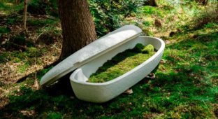 Mushroom sarcophagi will become an eco-friendly alternative to wooden coffins (4 photos)