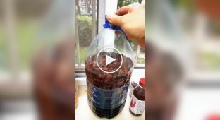 Homemade wine created an unexpected fountain in the kitchen