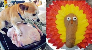 30 эпичных кулинарных фейлов на День благодарения (31 фото)