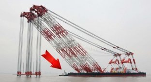10 extremely large cranes (11 photos)