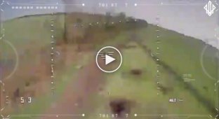 Нацгвардійці знищили росіян на електросамокатах, які хотіли наблизитися до наших позицій на Покровському напрямі