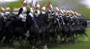 Королевская конная гвардия (38 фото)