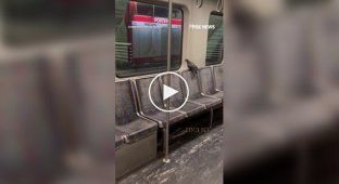 Голубь прокатился в американском метро