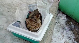 Krasnoyarsk residents kicked Lyova out to the trash heap with a note (3 photos)