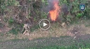 Two drones chased an occupier to death in a forest belt