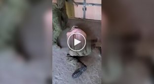 Оккупанты избивают палкой своего товарища