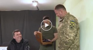 Президент Украины Зеленский наградил высокопоставленного украинского генерала Залужного личным оружием