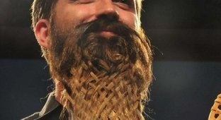 Бородатые (12 фото)
