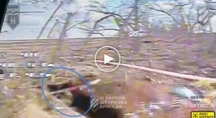 Воїни 3-ї ОШБр дроном-камікадзе Дикі Шершні атакували бліндаж окупантів