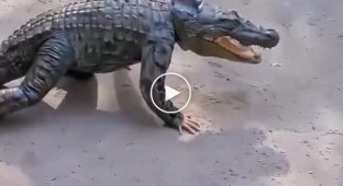Шутник подкрался незаметно