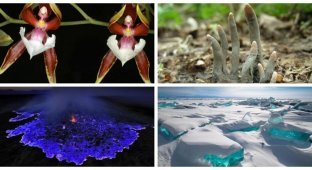Чудеса природы: 30 интересных фактов и фотографий об окружающем мире (31 фото)