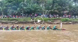 Mad Max in the tropics: Incredible speed on water