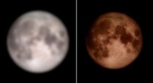 Samsung engineers faked moon photos: users are furious (5 photos + 1 video)