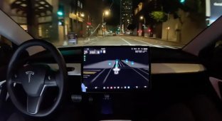 Суд зобов'язав Tesla виплатити понад 242 мільйони доларів за ДТП шестирічної давності (2 фото)