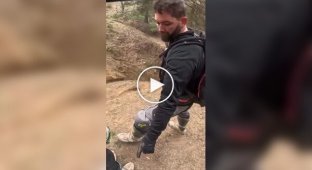 С такими друзьями врагов не нужно