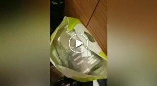 Видео обысков в квартирах полковника Кирилла Черкалина