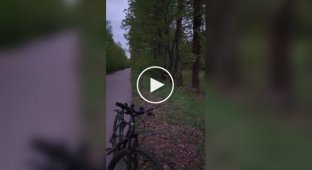 Danger came from unexpected places