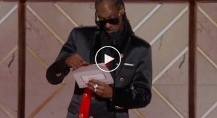 Містер стабільність