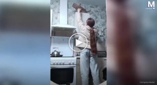 Попытка снять кошку со шкафа закончилась неожиданным финалом